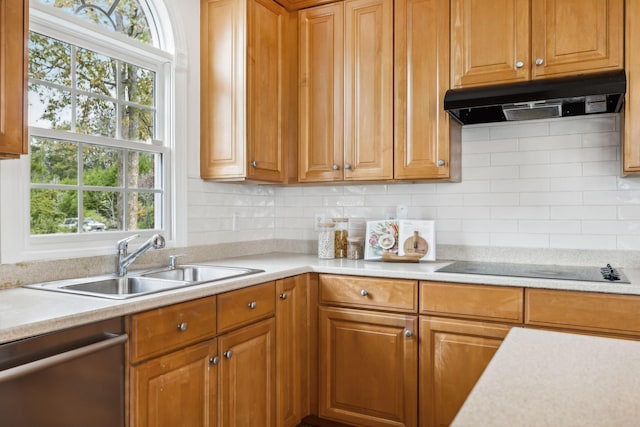 kitchen featuring black electric cooktop, sink, backsplash, and stainless steel dishwasher