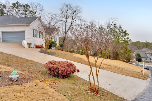 view of yard with a garage