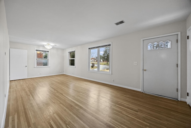 foyer featuring wood-type flooring