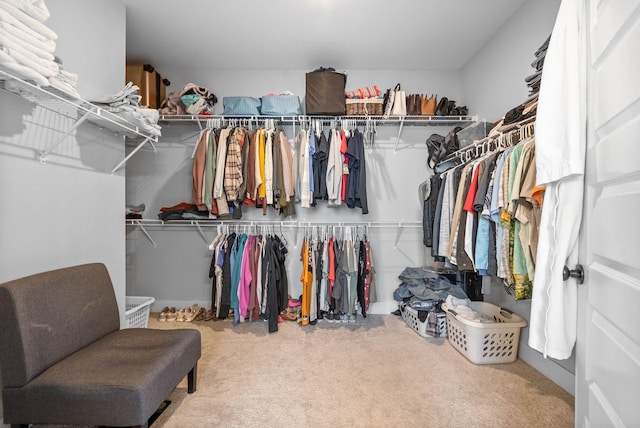 walk in closet featuring carpet