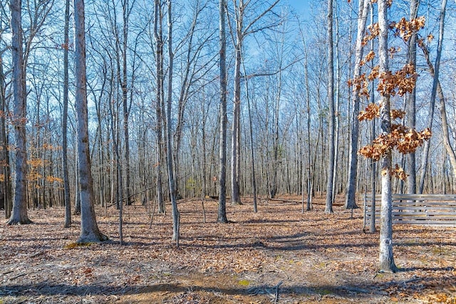 view of local wilderness