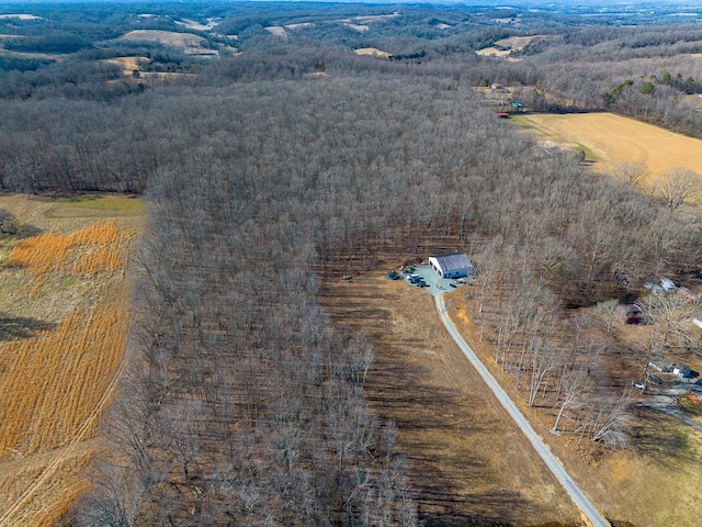 drone / aerial view with a rural view