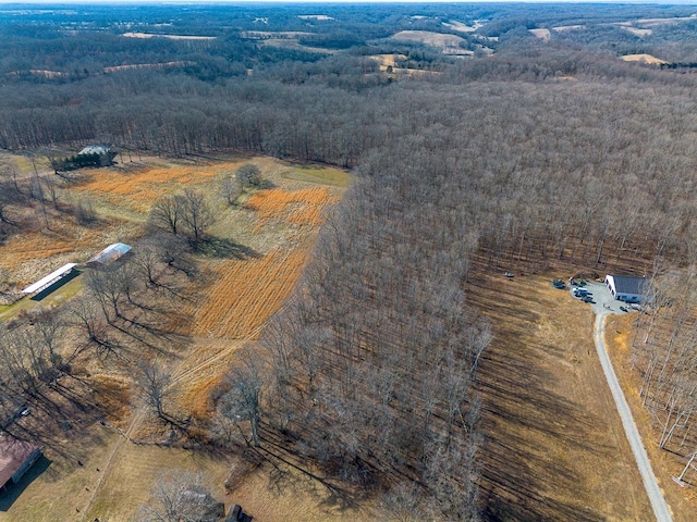 aerial view with a rural view