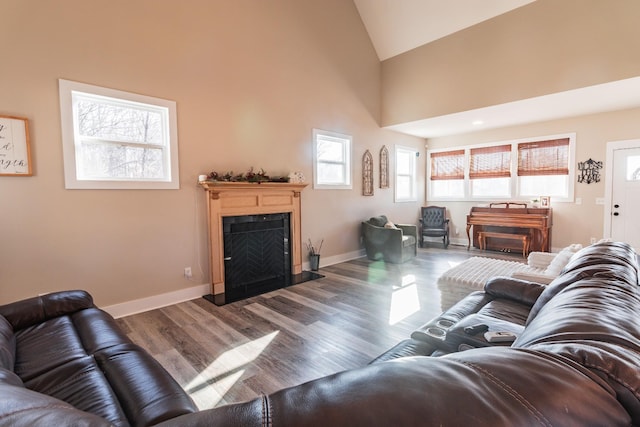 living room with high vaulted ceiling and hardwood / wood-style floors