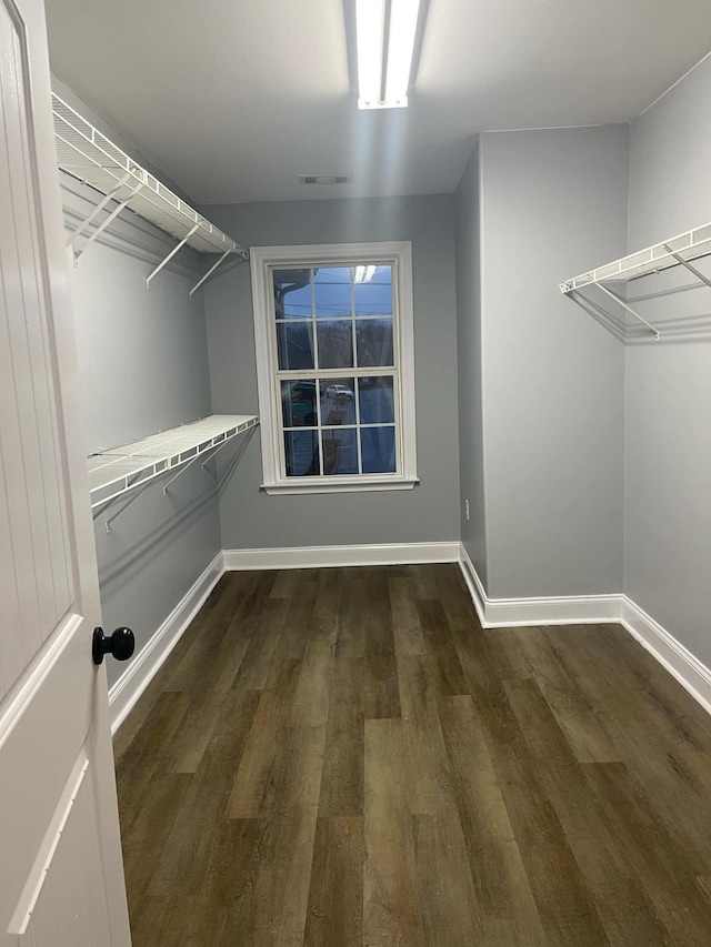 walk in closet featuring dark hardwood / wood-style floors