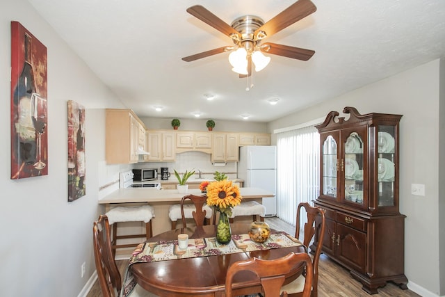 dining room with ceiling fan, sink, and light hardwood / wood-style flooring