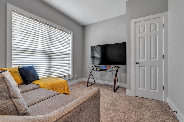 living room featuring light colored carpet