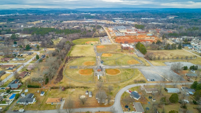 bird's eye view