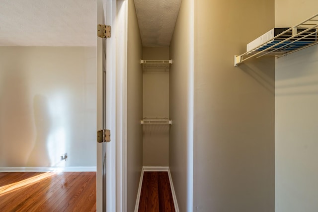 walk in closet with hardwood / wood-style flooring