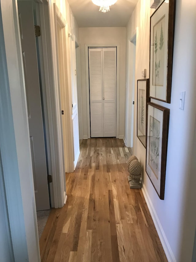 corridor with light hardwood / wood-style floors