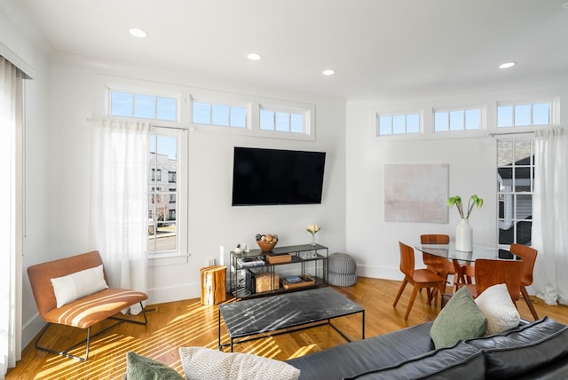 living room featuring light wood-type flooring