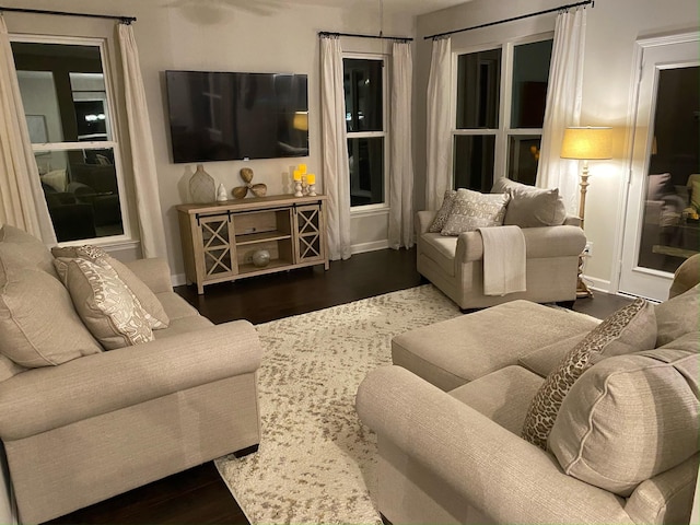 living room featuring wood finished floors