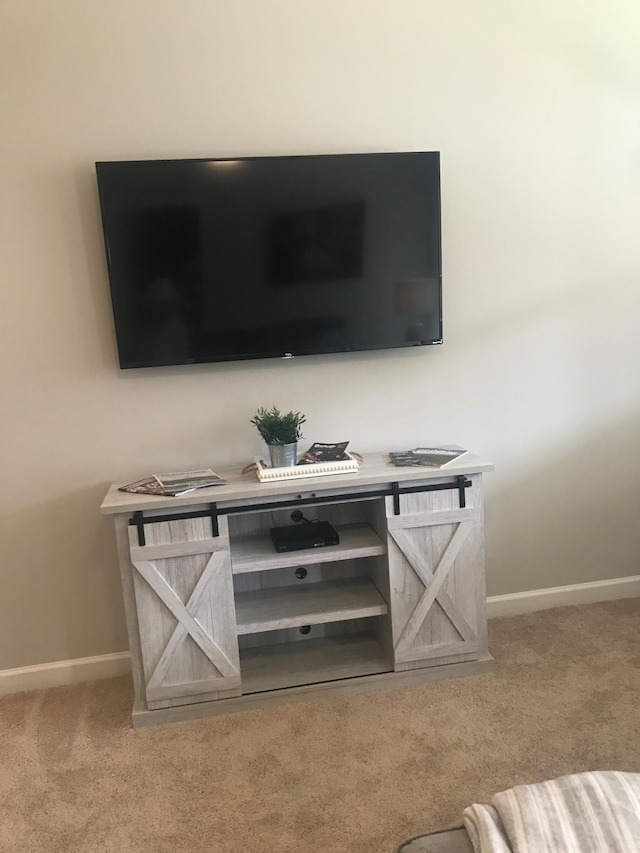 details featuring carpet floors and baseboards