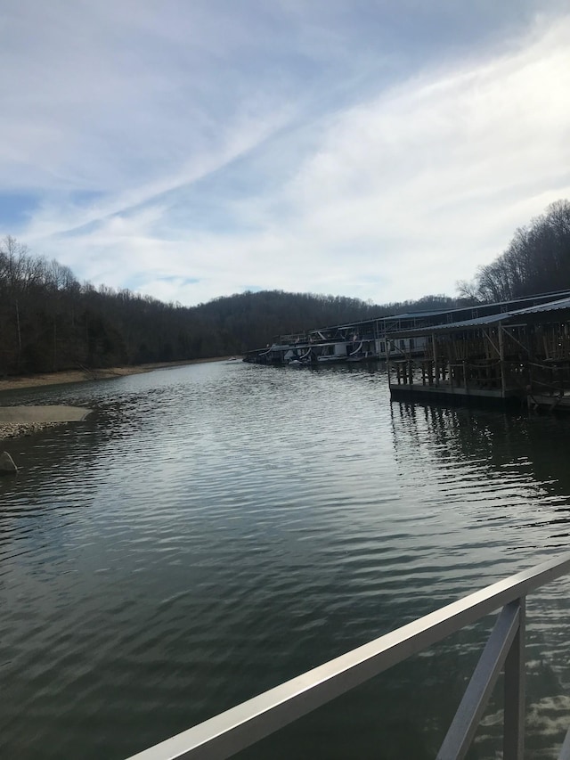 property view of water with a dock and a forest view