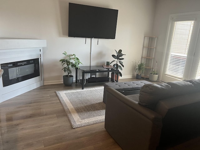 living room featuring wood-type flooring