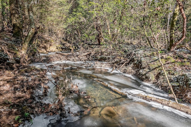 view of local wilderness