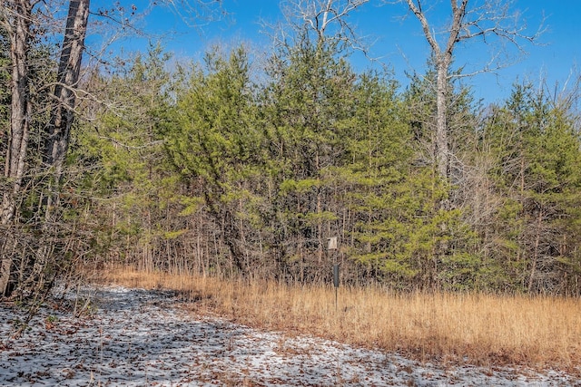 view of local wilderness