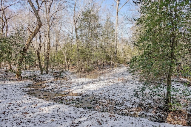 view of local wilderness