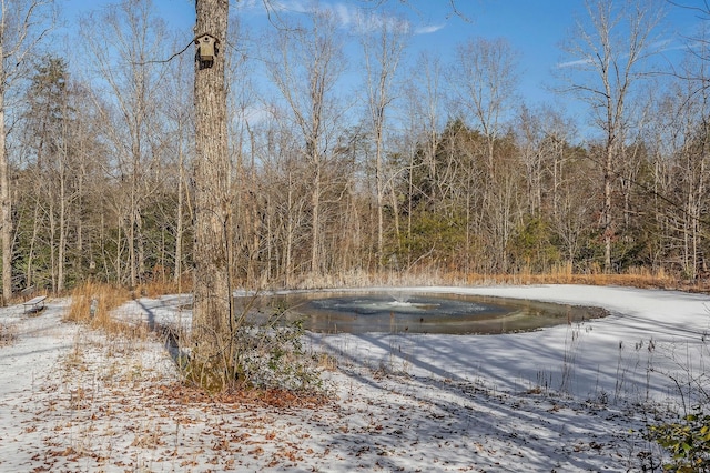 view of snow covered pool