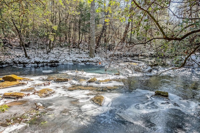 view of local wilderness