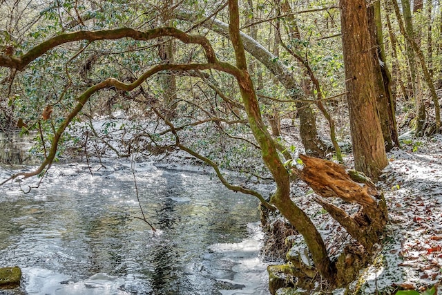 view of nature