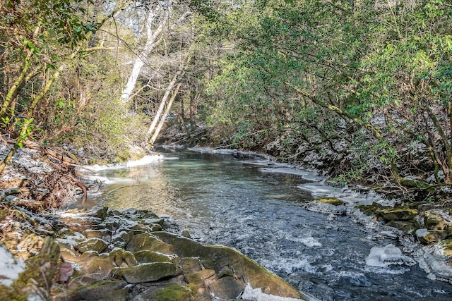 view of water feature