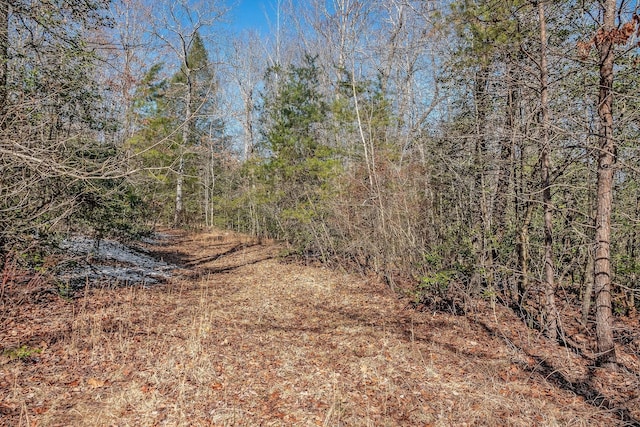 view of local wilderness