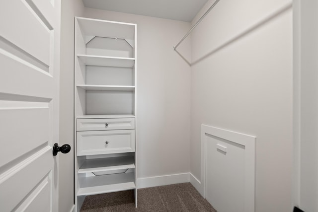 spacious closet featuring dark colored carpet