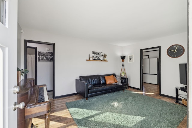 living room featuring wood-type flooring