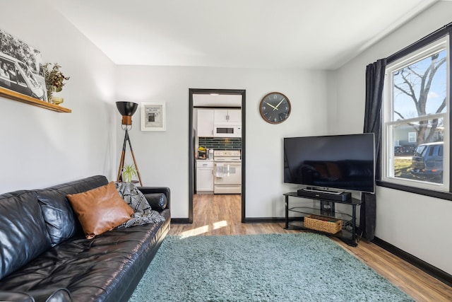 living room with light hardwood / wood-style flooring