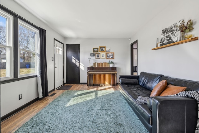 living room featuring wood-type flooring