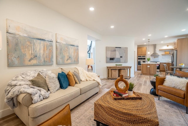 living room featuring light hardwood / wood-style flooring