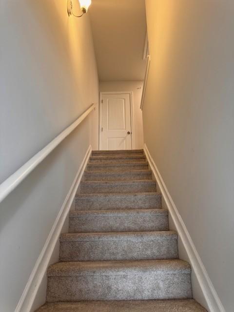 staircase with carpet flooring