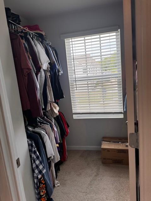 walk in closet with light colored carpet