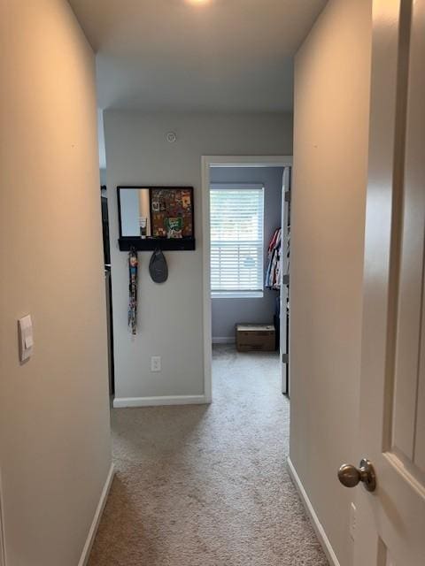 hallway featuring carpet floors