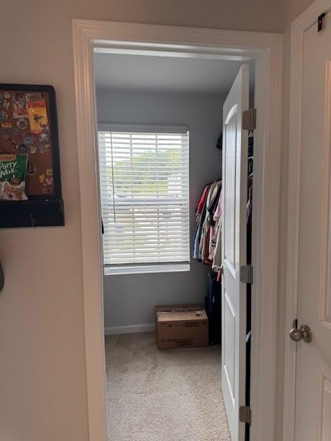 spacious closet featuring light carpet