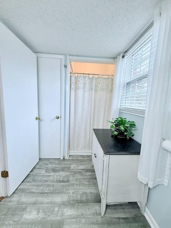 bathroom with wood-type flooring and a textured ceiling