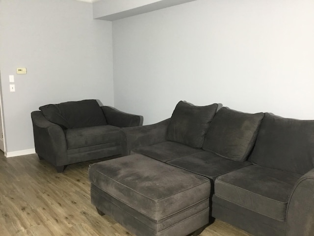 living room with wood-type flooring