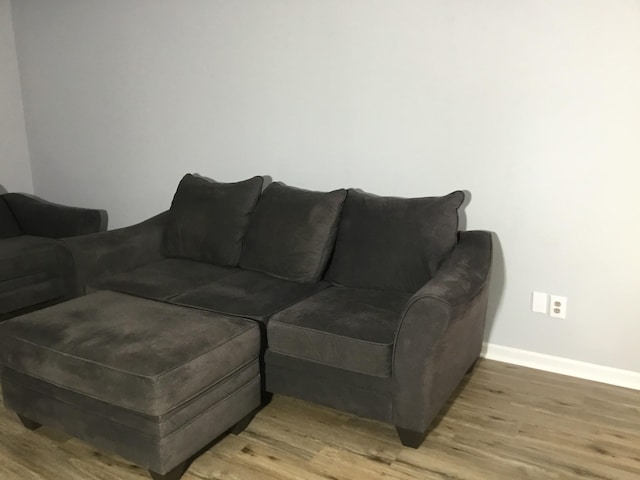 living room with wood-type flooring