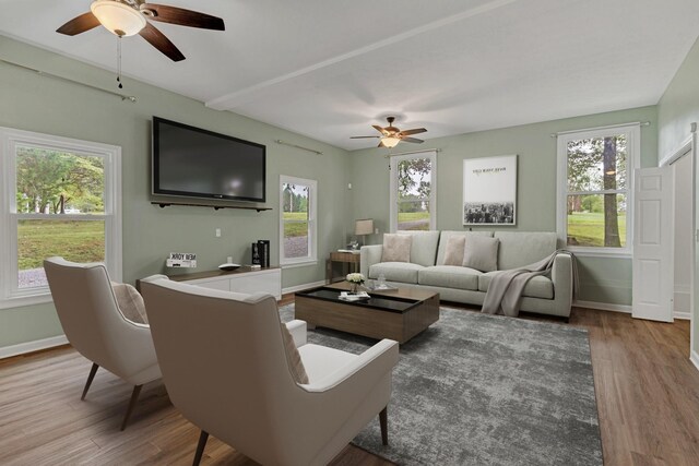 living room with ceiling fan, a healthy amount of sunlight, and light wood-type flooring