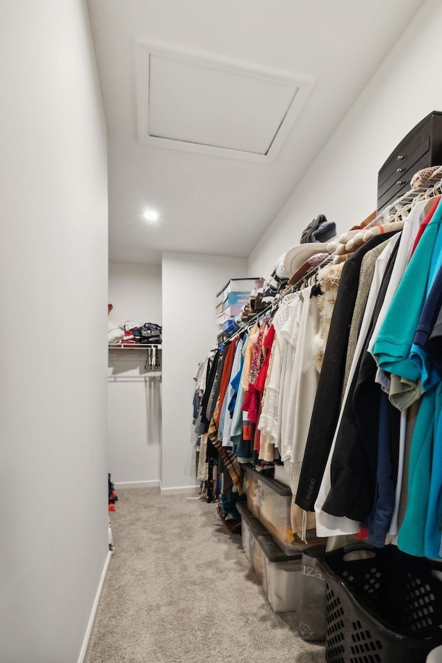 spacious closet with light colored carpet