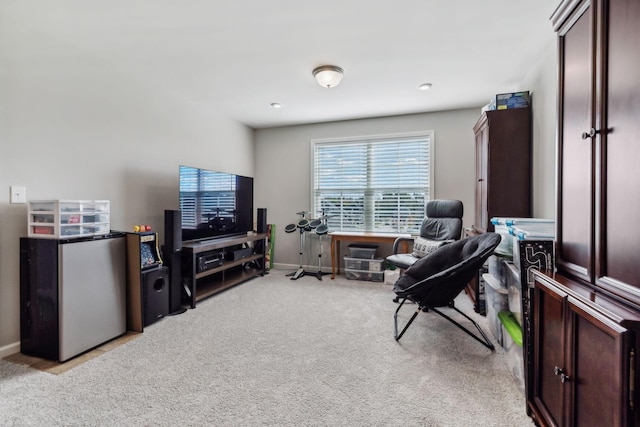 interior space with light colored carpet