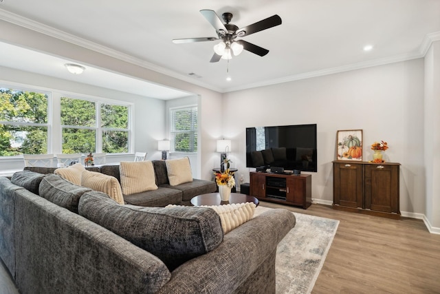 living room featuring crown molding, ceiling fan, and light hardwood / wood-style floors