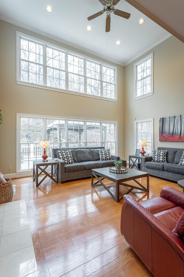 living room with crown molding, a towering ceiling, and light hardwood / wood-style floors