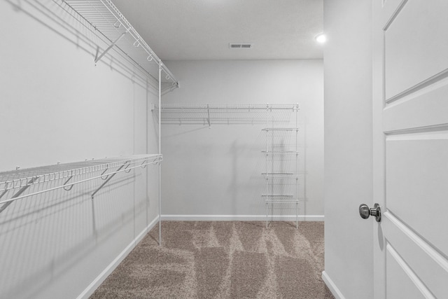 walk in closet featuring carpet floors