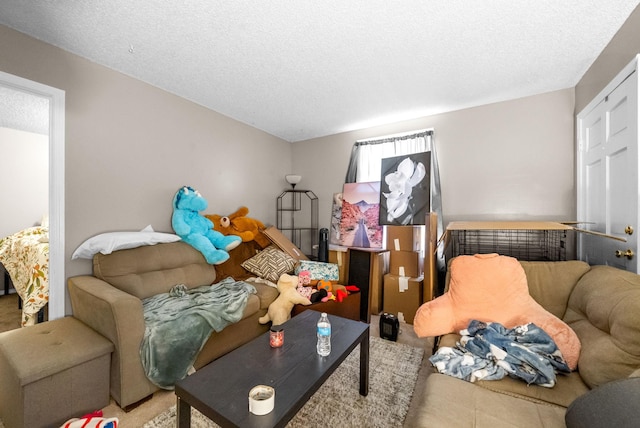 living room with a textured ceiling