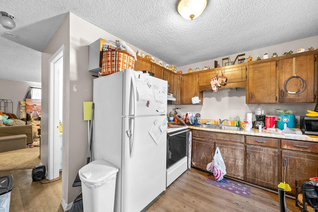 kitchen featuring sink, a textured ceiling, white appliances, and light hardwood / wood-style flooring