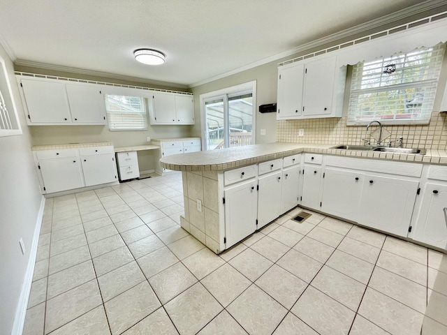 kitchen with crown molding, sink, and white cabinets