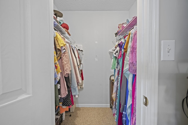 spacious closet with carpet flooring