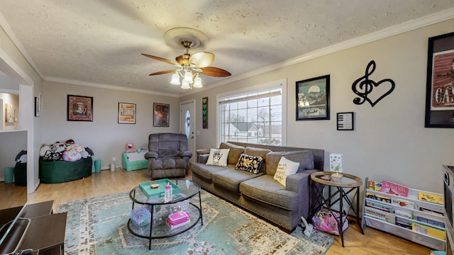 living room with crown molding, a textured ceiling, and light wood-type flooring